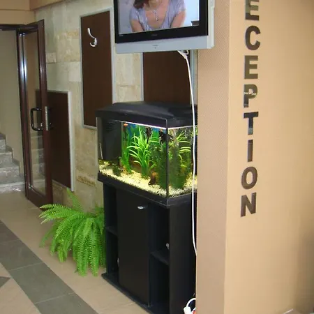 Lazur 3* Бургас