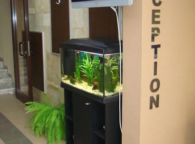 Lazur 3* Бургас